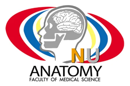 Logo Anatomy