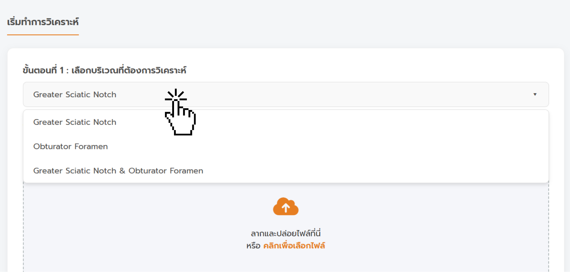 เลือกประเภทกระดูก