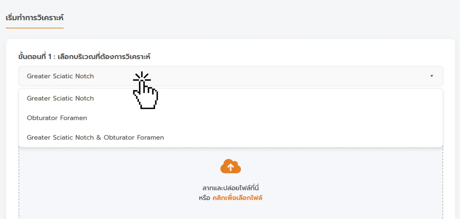 เลือกประเภทกระดูก